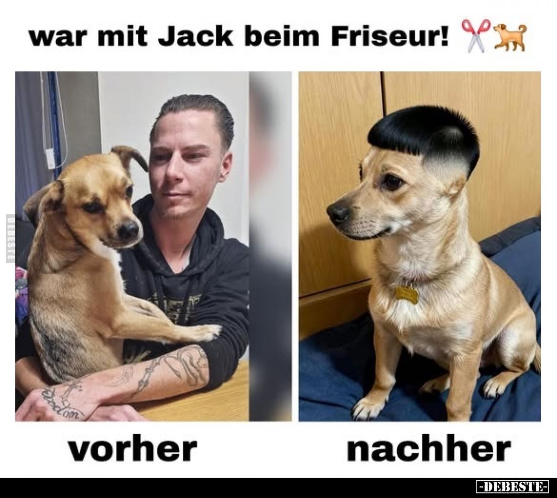 war mit Jack beim Friseur!
vorher/nachher
