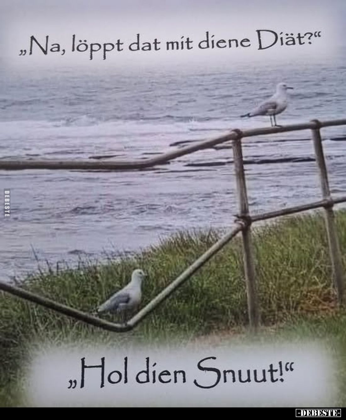 „Na, löppt dat mit diene Diät?"
„Hol dien Snuut!"
