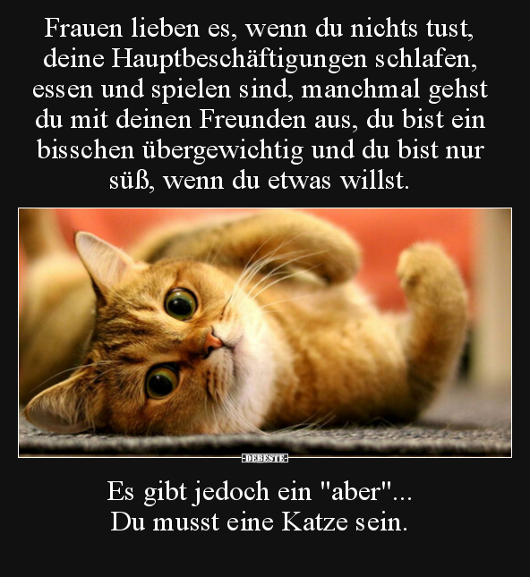 Lustige Bilder zum Thema: Frauen, Frau, Liebe