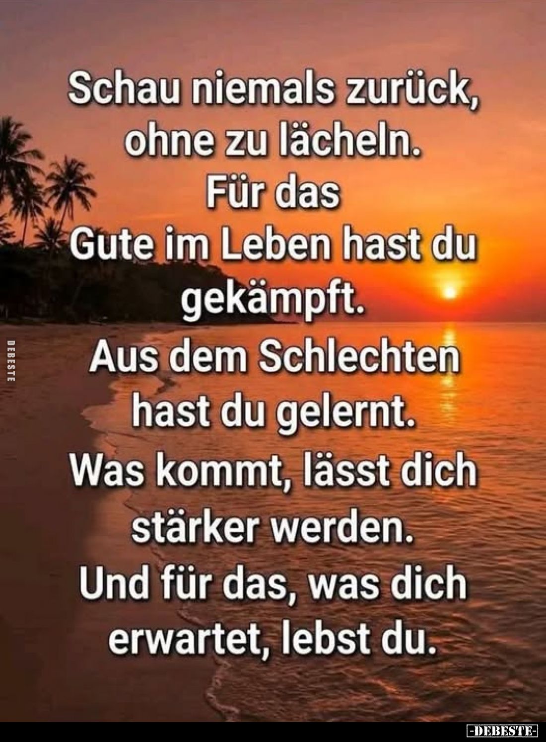 Schau niemals zurück, ohne zu lächeln. Für das Gute im Leben hast du gekämpft.
Aus dem Schlechten hast du gelernt.
Was komm...