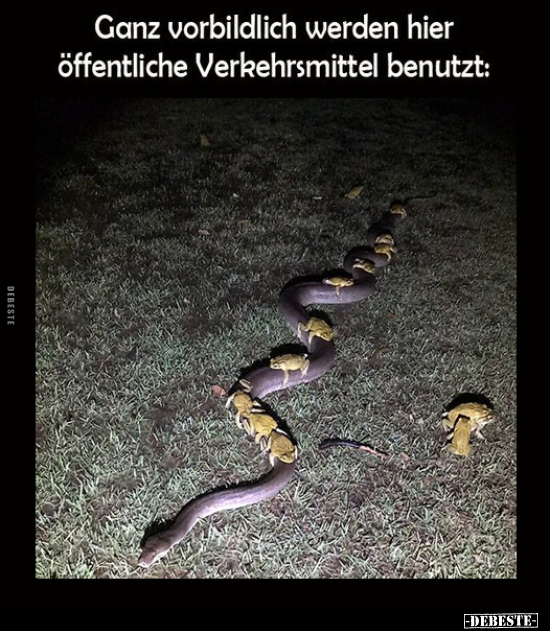 Ganz vorbildlich werden hier öffentliche Verkehrsmittel.. - Lustige Bilder | DEBESTE.de