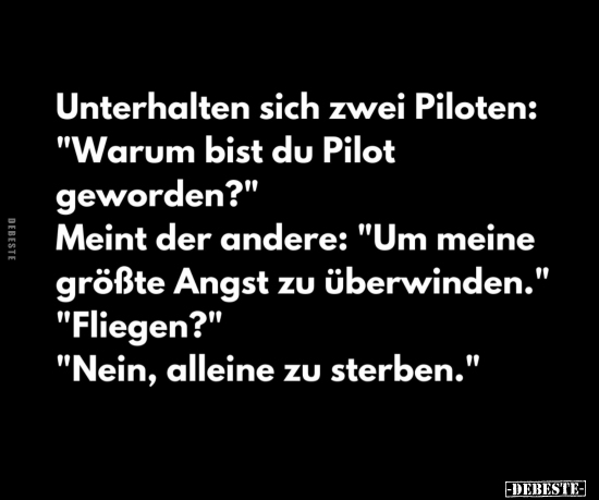 Unterhalten sich zwei Piloten: "Warum bist du Pilot.." - Lustige Bilder | DEBESTE.de