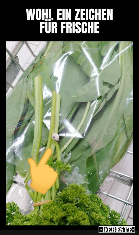 Wohnt jetzt bei mir im Garten. - Lustige Bilder | DEBESTE.de