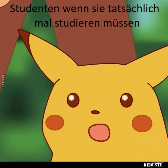 Studenten, wenn sie tatsächlich mal studieren müssen... - Lustige Bilder | DEBESTE.de