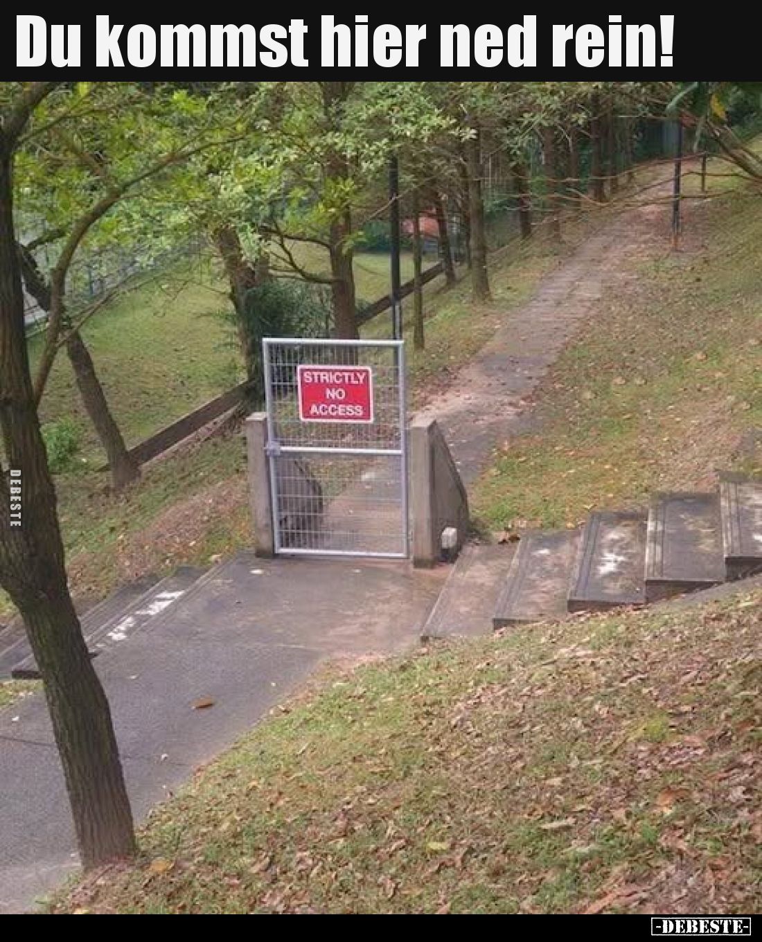 Du kommst hier ned rein!.. - Lustige Bilder | DEBESTE.de