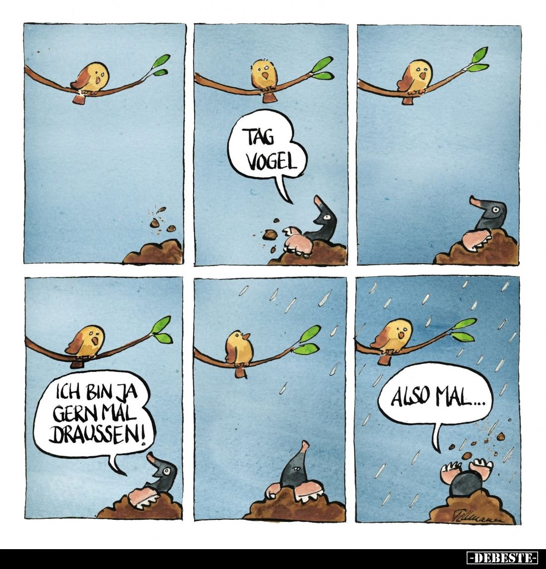 Tag Vogel. - 
Ich bin ja gern mal draussen! -
Also mal...
