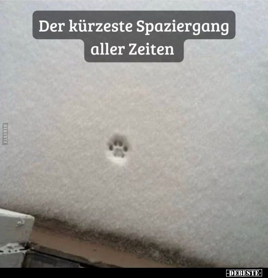 Der kürzeste Spaziergang aller Zeiten.. - Lustige Bilder | DEBESTE.de