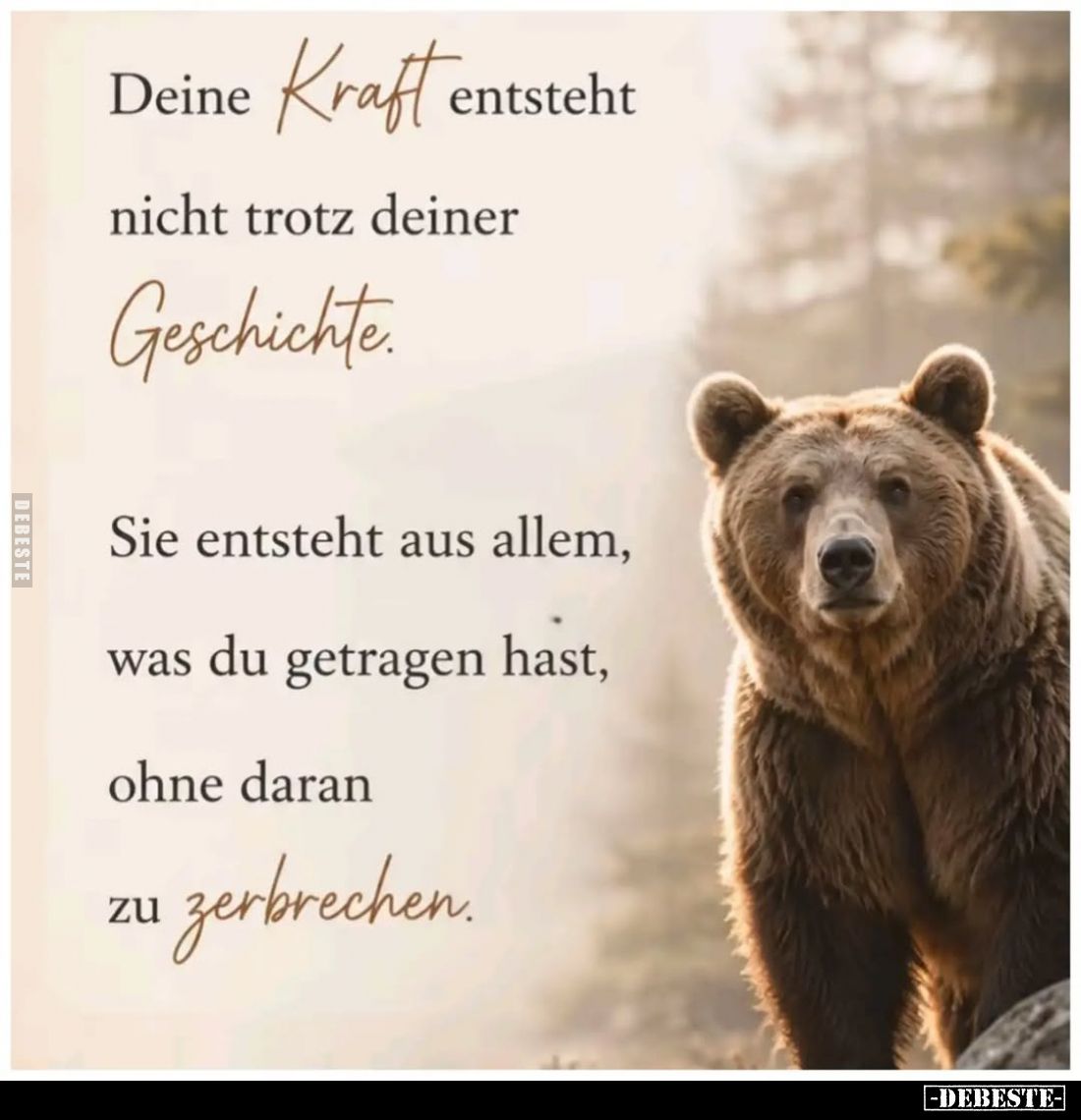 Deine Kraft entsteht nicht trotz deiner Geschichte.
Sie entsteht aus allem, was du getragen hast, ohne daran zu zerbrechen.