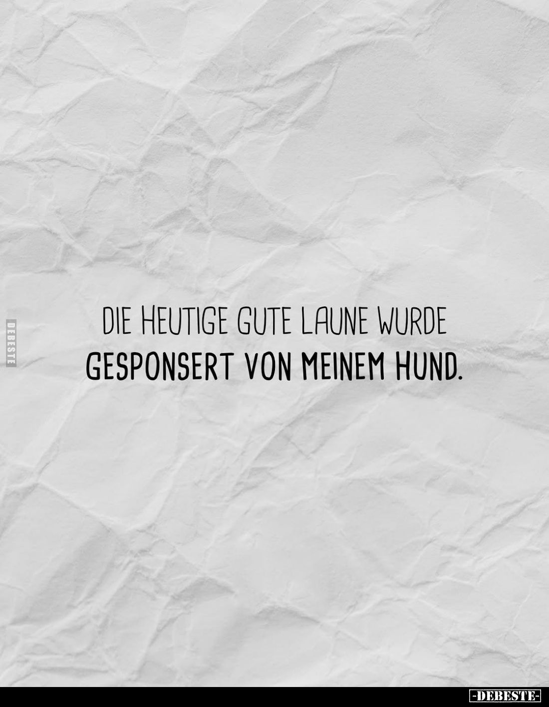 Die heutige gute Laune wurde gesponsert von meinem Hund.