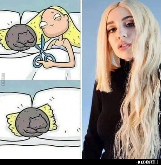  - Lustige Bilder | DEBESTE.de
