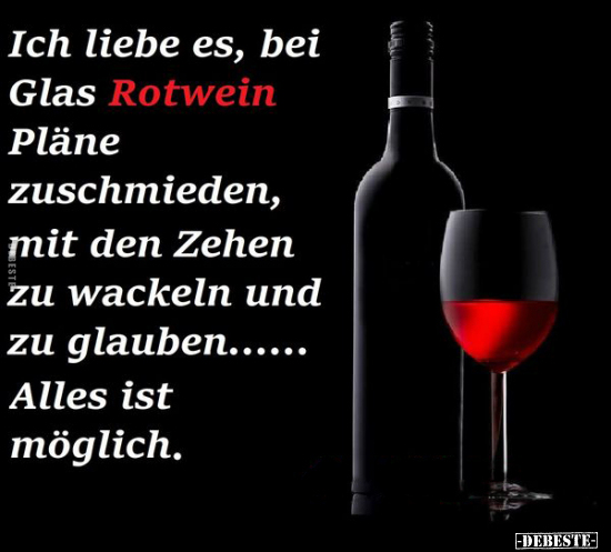 Ich liebe es, bei Glas Rotwein Pläne zuschmieden, mit den.. - Lustige Bilder | DEBESTE.de