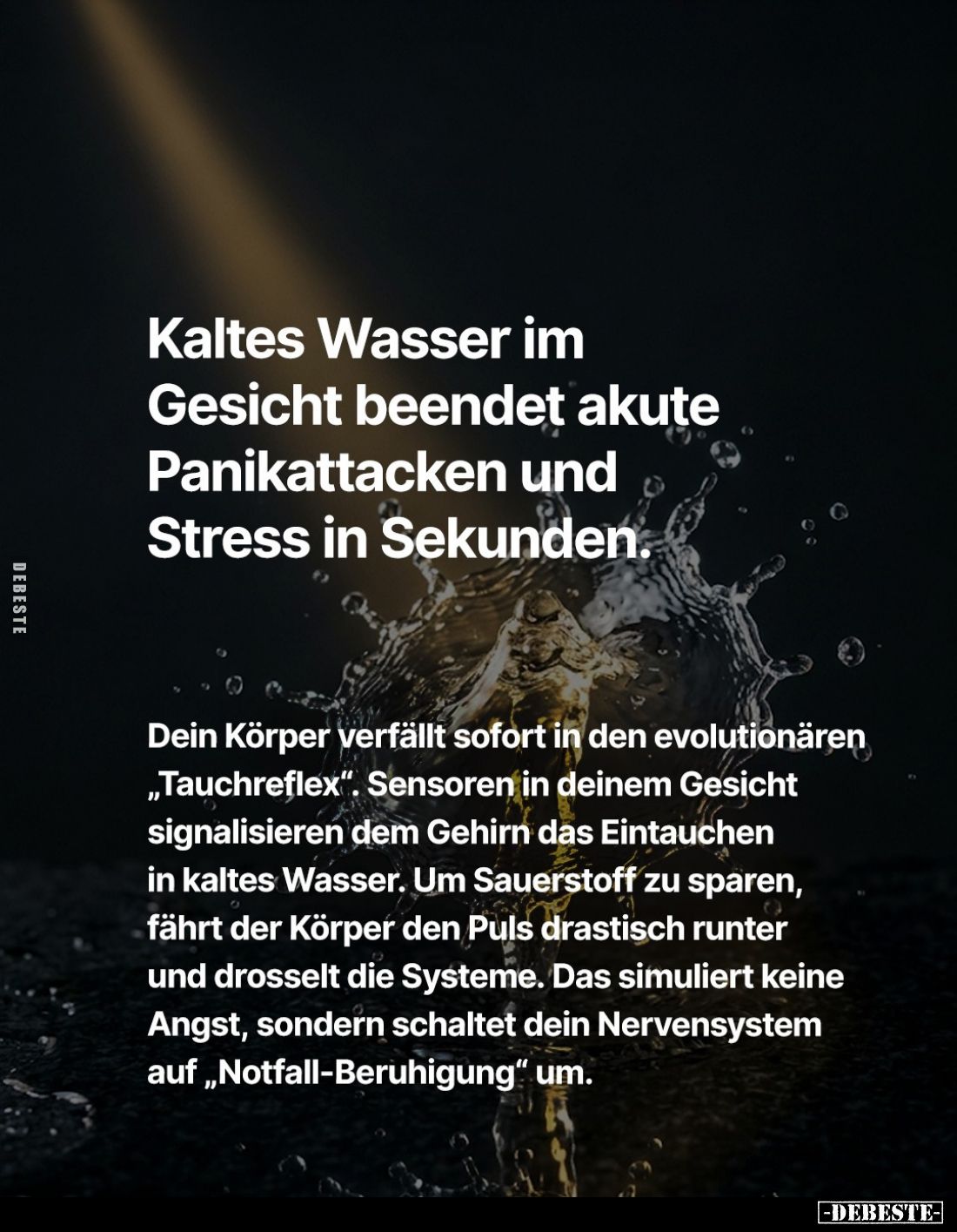 Kaltes Wasser im Gesicht beendet akute Panikattacken und Stress in Sekunden.
Dein Körper verfällt sofort in den evolutionäre...