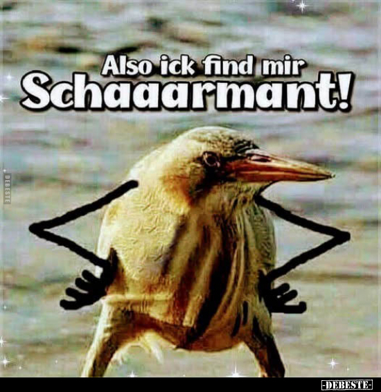Also ick find mir Schaaarmant!