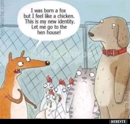 I was born a fox but I feel like a chicken... - Lustige Bilder | DEBESTE.de