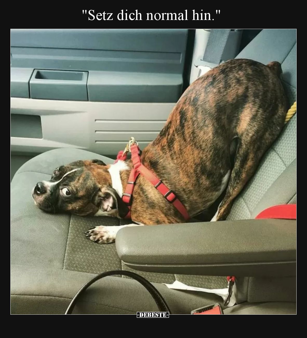 Setz dich normal hin.
