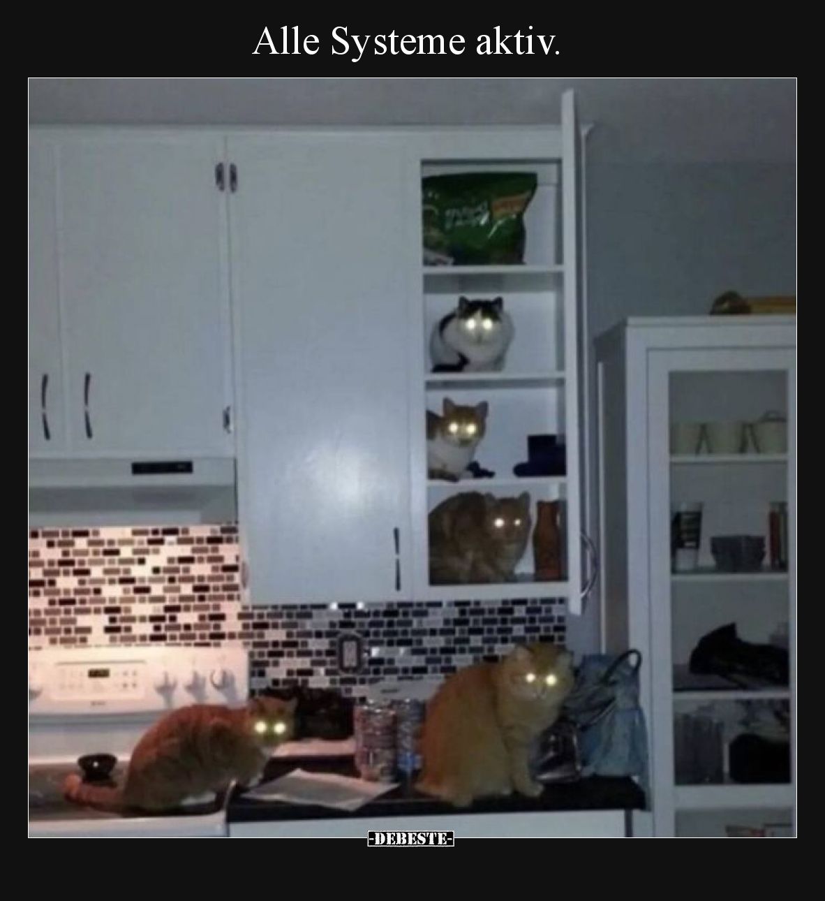 Alle Systeme aktiv.