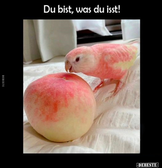 Du bist, was du isst!
