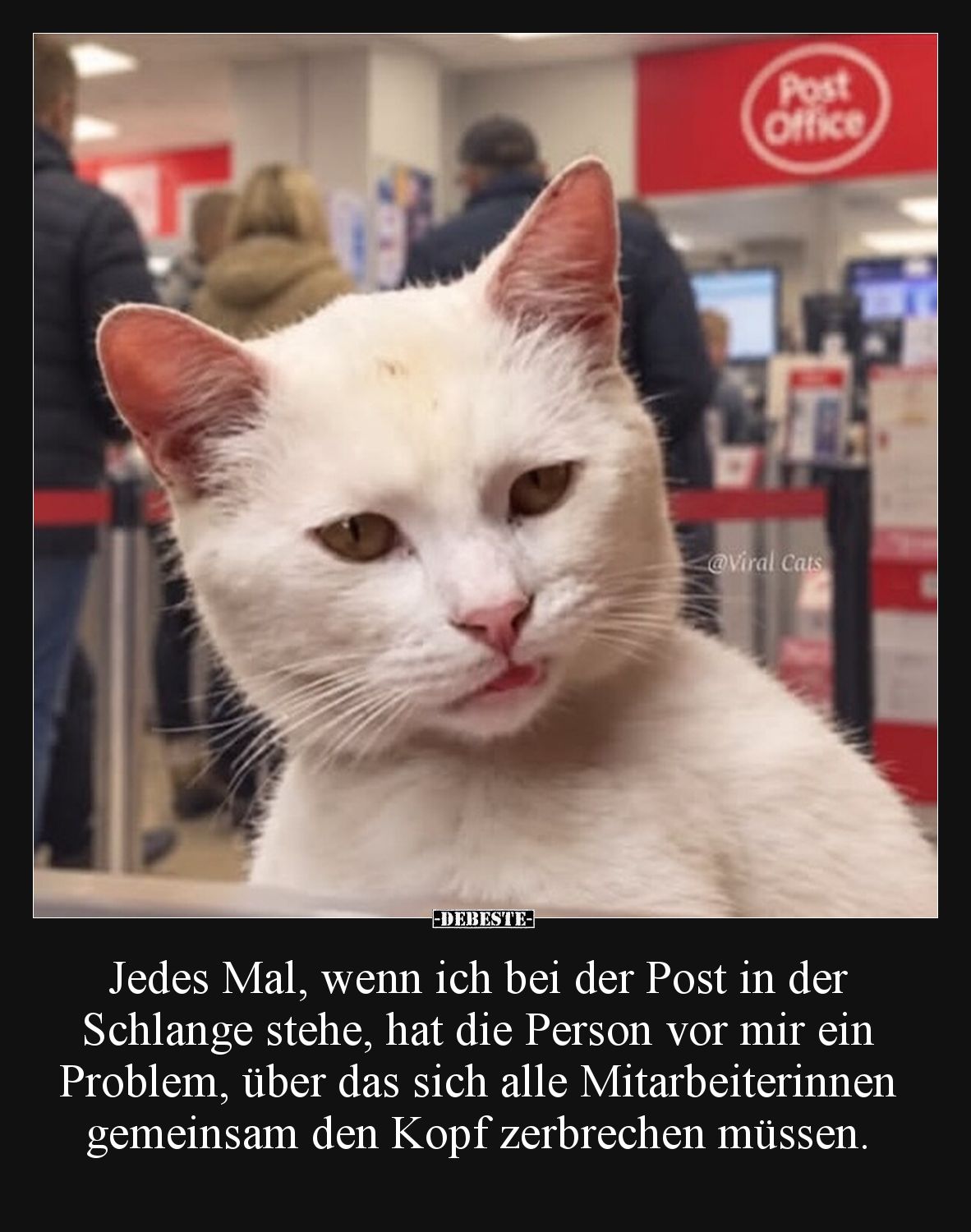Jedes Mal, wenn ich bei der Post in der Schlange stehe, hat die Person vor mir ein Problem, über das sich alle Mitarbeiterinn...