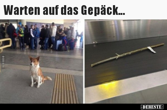 Warten auf das Gepäck... - Lustige Bilder | DEBESTE.de