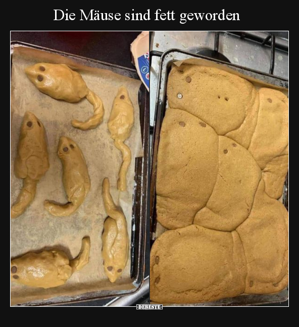 Die Mäuse sind fett geworden.. - Lustige Bilder | DEBESTE.de