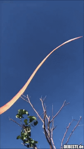 Jedes Kind träumt vom Fliegen..