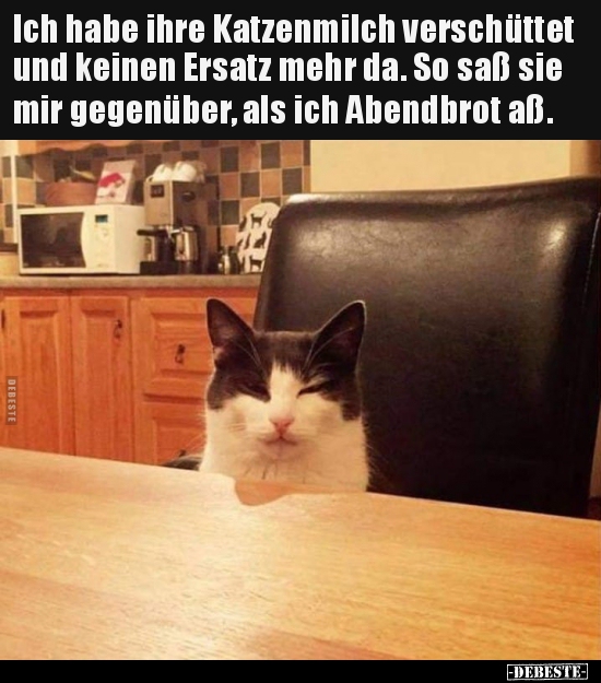 Ich habe ihre Katzenmilch verschüttet und keinen Ersatz.. - Lustige Bilder | DEBESTE.de