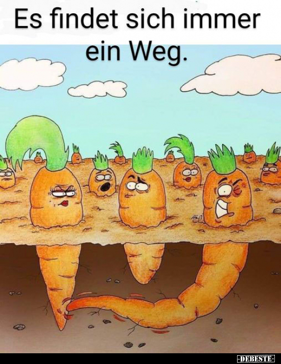 Es findet sich immer ein Weg.. - Lustige Bilder | DEBESTE.de