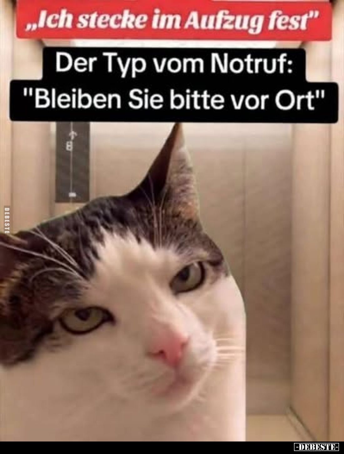 „Ich stecke im Aufzug fest“
-
Der Typ vom Notruf:
"Bleiben Sie bitte vor Ort"
