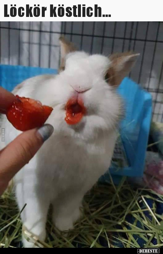 Löckör köstlich...