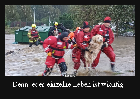 Denn jedes einzelne Leben ist wichtig... - Lustige Bilder | DEBESTE.de