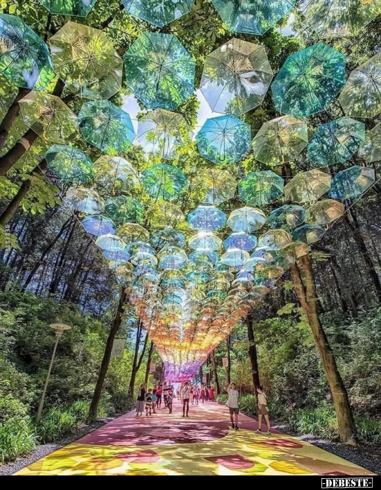  - Lustige Bilder | DEBESTE.de