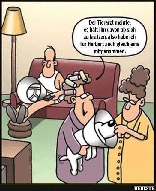 Der Tierarzt meinte es hält ihn davon.. - Lustige Bilder | DEBESTE.de