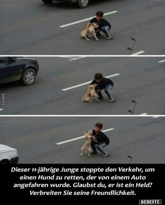 Dieser 11-jährige Junge stoppte den Verkehr, um einen Hund.. - Lustige Bilder | DEBESTE.de