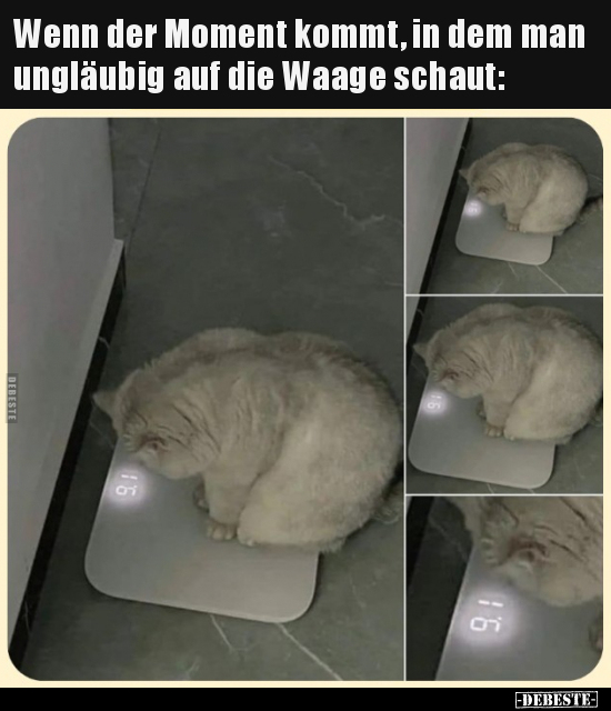 Wenn der Moment kommt, in dem man ungläubig auf die Waage.. - Lustige Bilder | DEBESTE.de