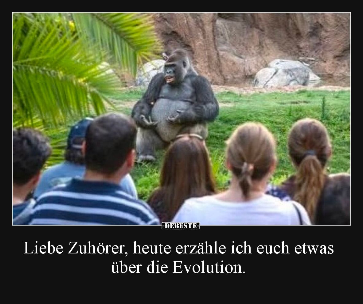 Liebe Zuhörer, heute erzähle ich euch etwas über die Evolution.