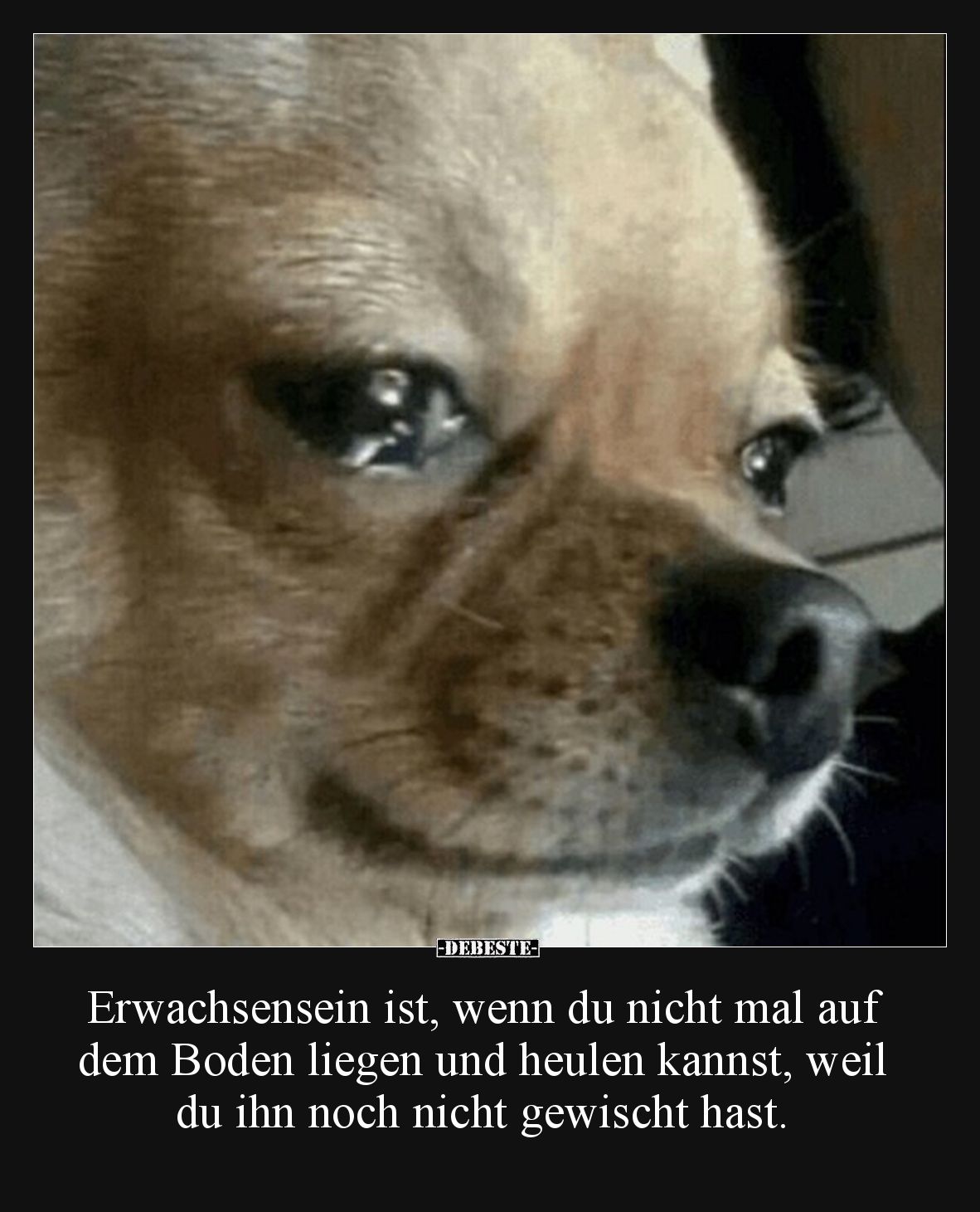 Erwachsensein ist, wenn du nicht mal auf dem Boden liegen und heulen kannst, weil du ihn noch nicht gewischt hast.
