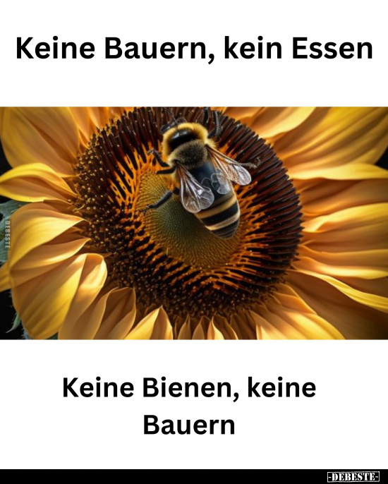 Keine Bauern, kein Essen. - Keine Bienen, keine Bauern... - Lustige Bilder | DEBESTE.de