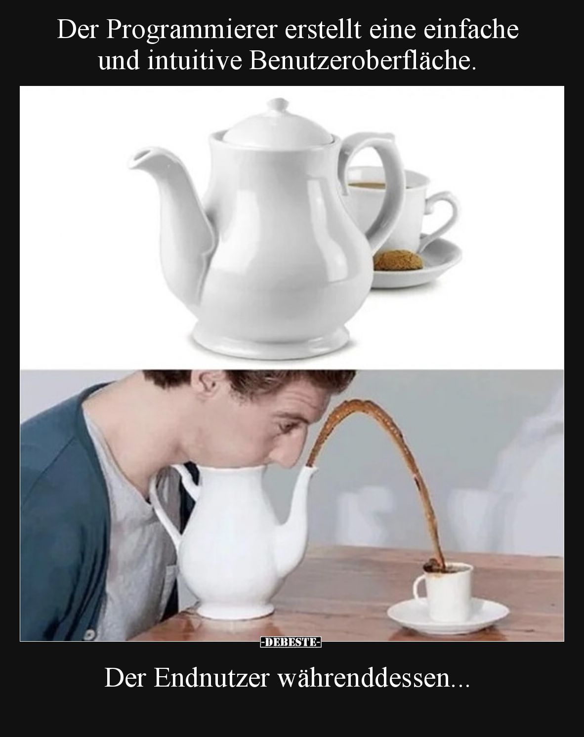Der Programmierer erstellt eine einfache und intuitive Benutzeroberfläche.  Der Endnutzer währenddessen:
