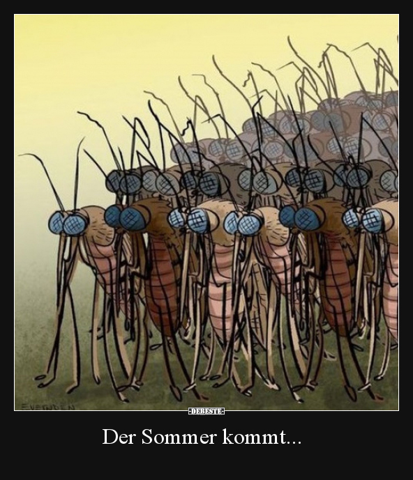 Der Sommer kommt... - Lustige Bilder | DEBESTE.de