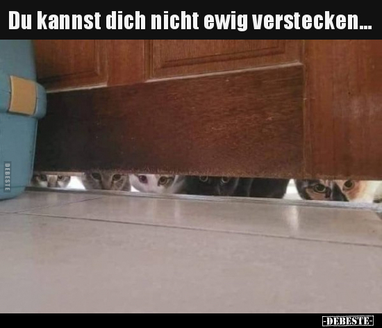 Du kannst dich nicht ewig verstecken...