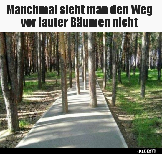 Manchmal sieht man den Weg vor lauter Bäumen nicht.. - Lustige Bilder | DEBESTE.de