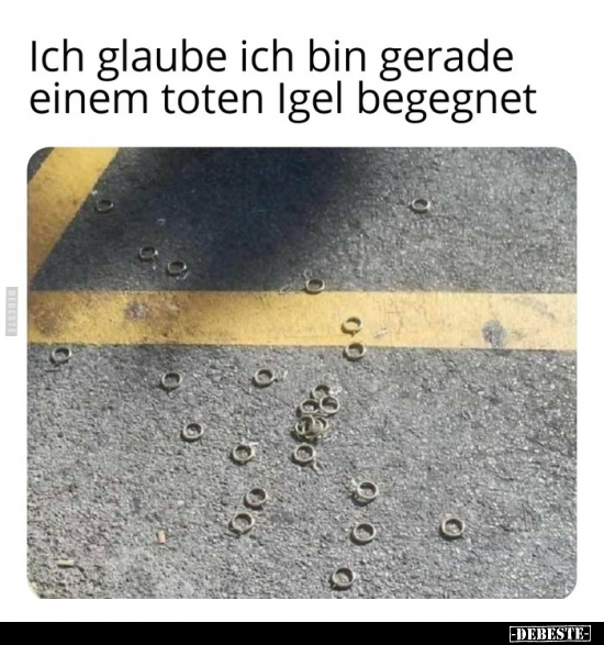 Ich glaube ich bin gerade einem toten Igel begegnet..