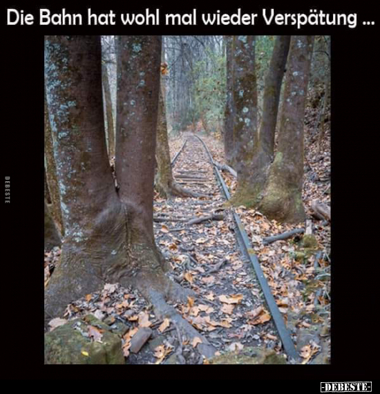 Die Bahn hat wohl mal wieder Verspätung... - Lustige Bilder | DEBESTE.de