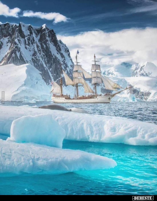  - Lustige Bilder | DEBESTE.de