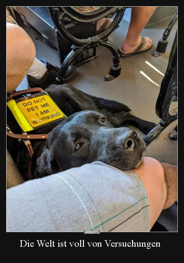 Die Welt ist voll von Versuchungen