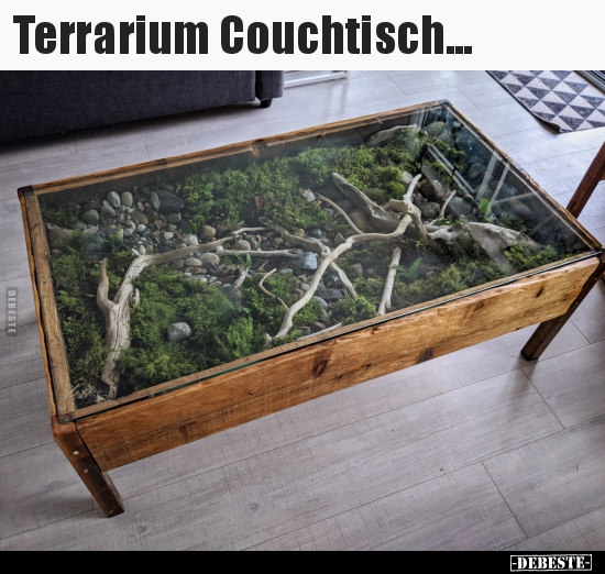 Terrarium Couchtisch... - Lustige Bilder | DEBESTE.de