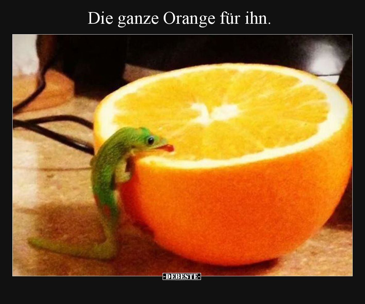 Die ganze Orange für ihn.