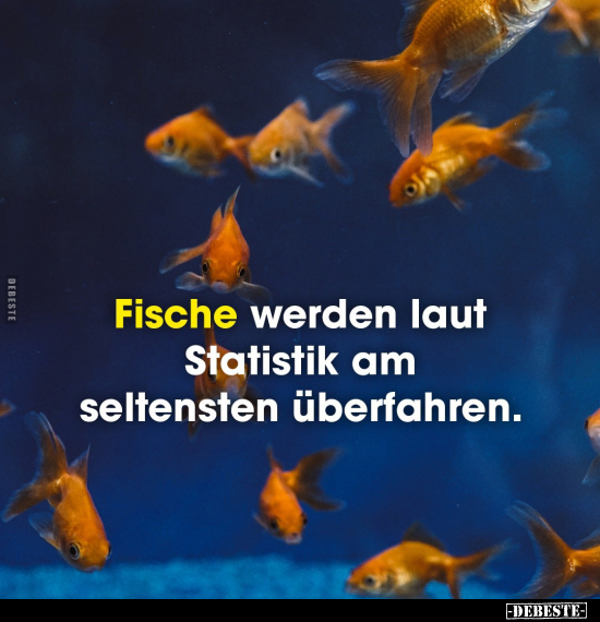 Fische werden laut Statistik am seltensten.. - Lustige Bilder | DEBESTE.de