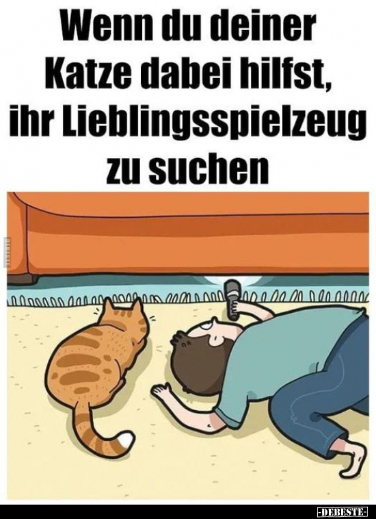 Wenn du deiner Katze dabei hilfst, ihr Lieblingsspielzeug.. - Lustige Bilder | DEBESTE.de