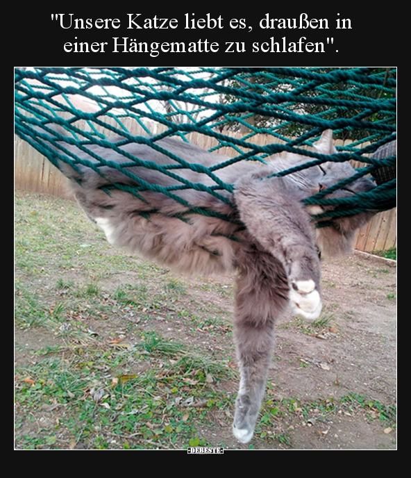 "Unsere Katze liebt es, draußen in einer Hängematte zu.." - Lustige Bilder | DEBESTE.de